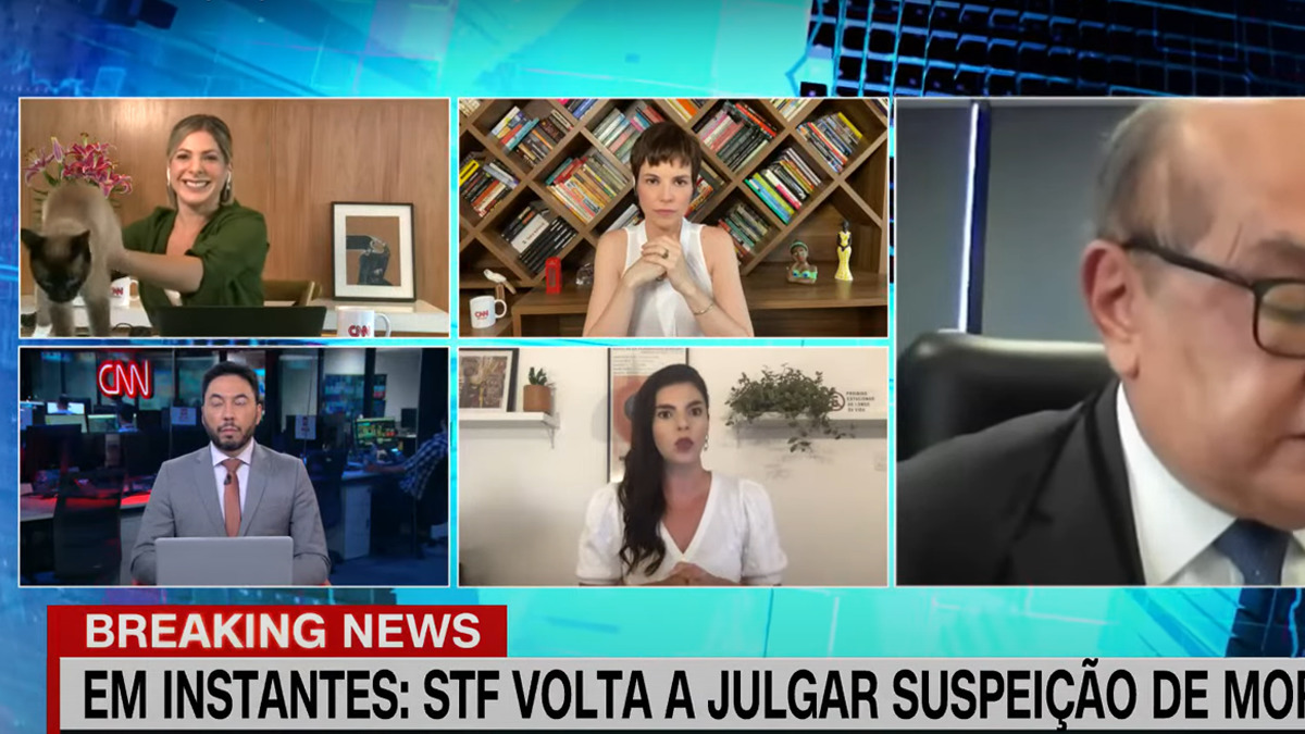 Gatinha de Daniela Lima aparece em transmissão da CNN