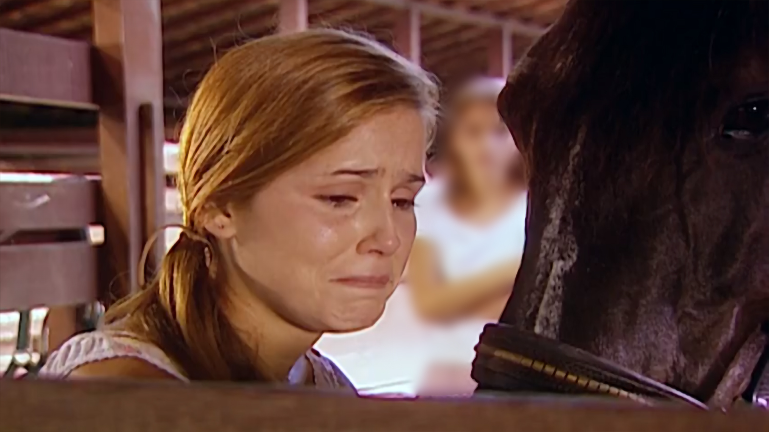 Novela Laços de Família