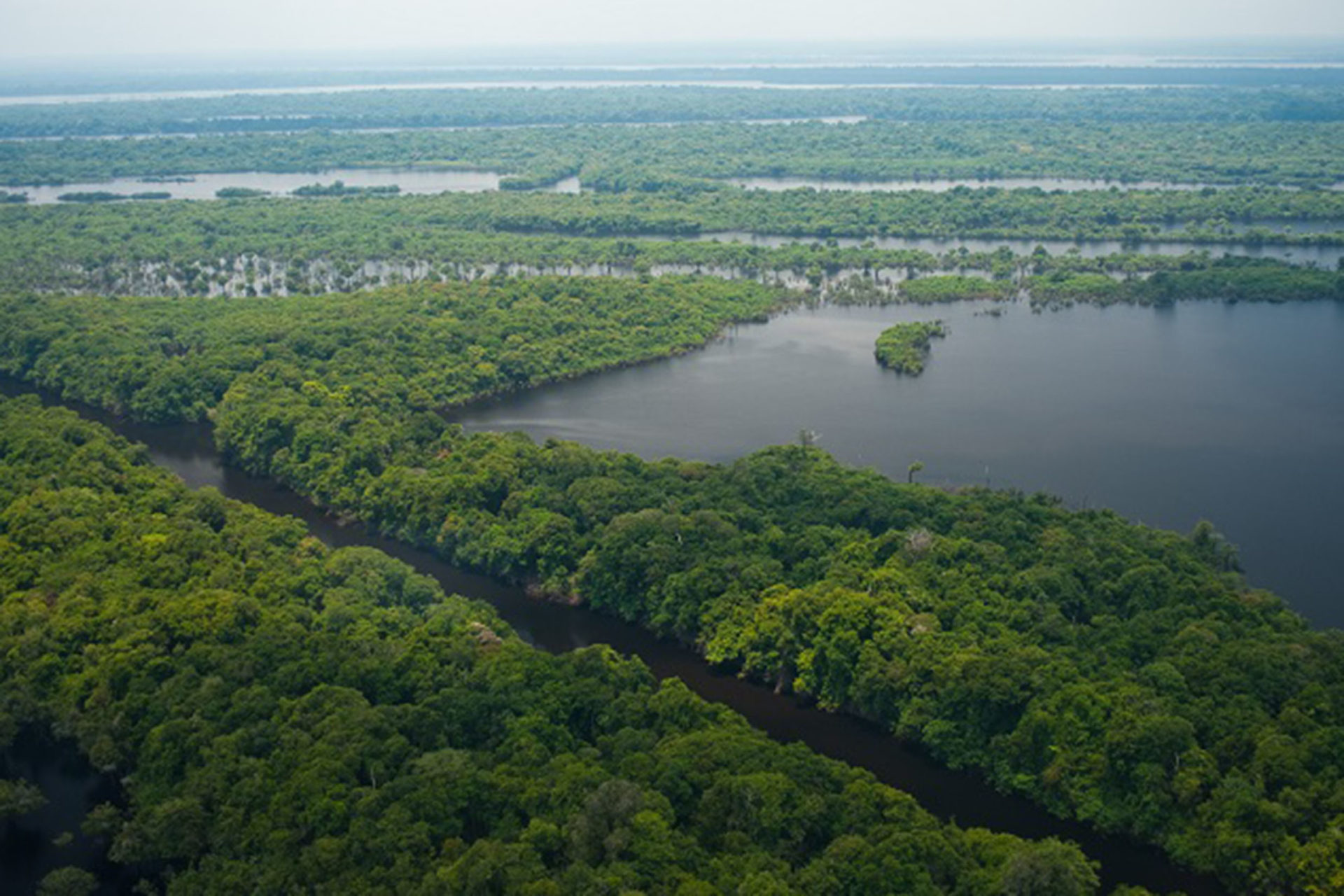 Amazônia