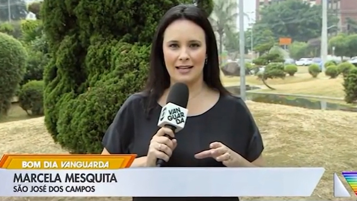 A repórter Marcela Mesquita (Reprodução)