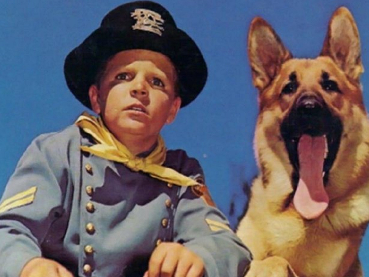 As Aventuras de Rin-Tin-Tin