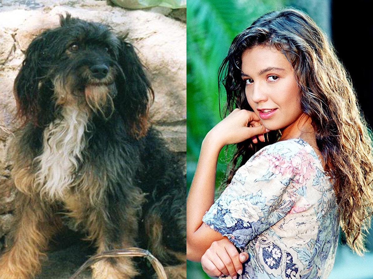 Pulpy (Pulguento) e Thalía como Marimar (Reprodução: Televisa/Montagem Observatório da TV)