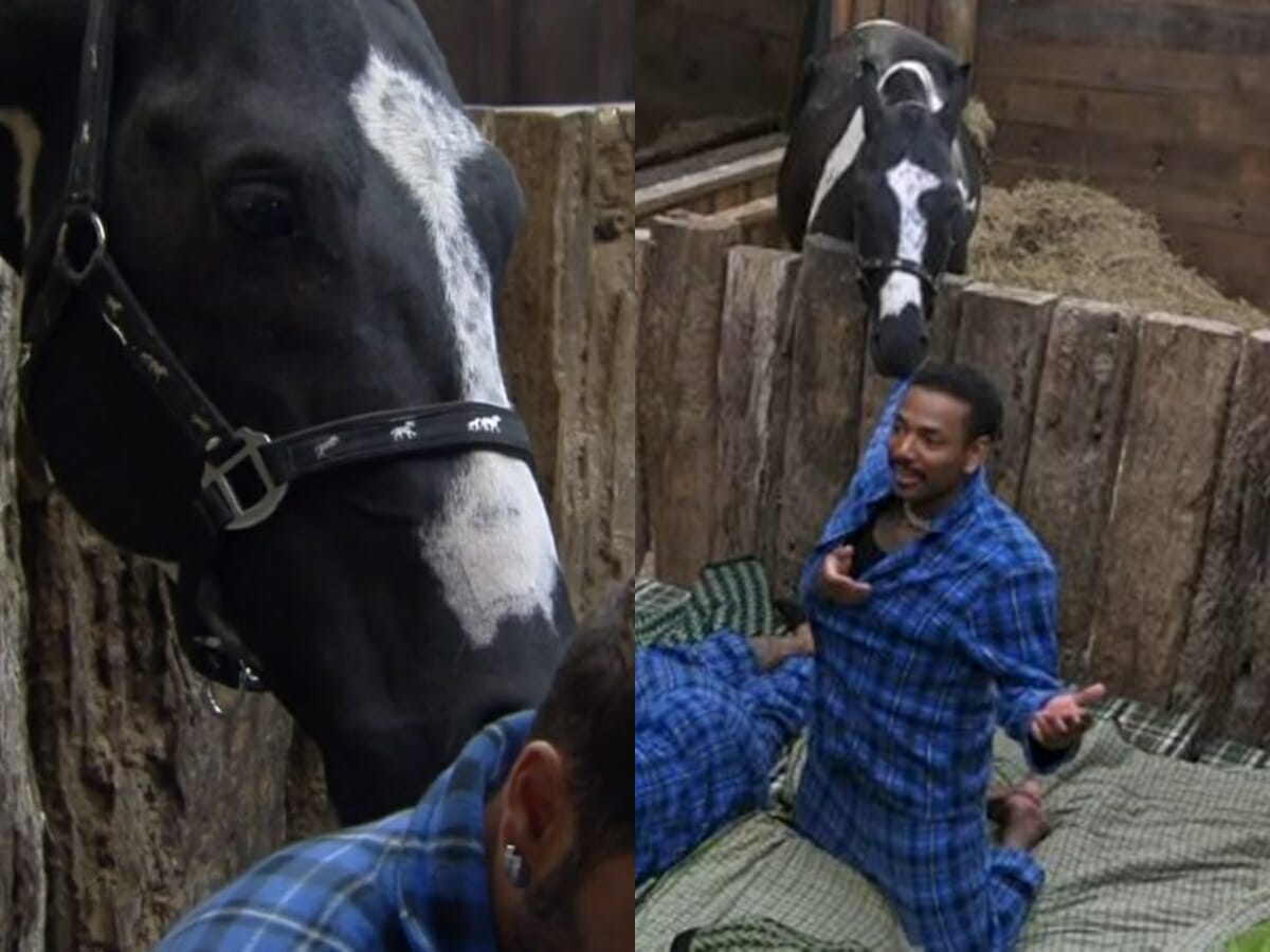 Colorado, cavalo de A Fazenda 13