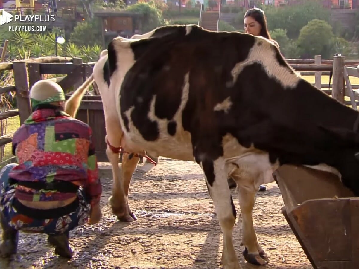 MC Gui e Liziane Gutierrez em A Fazenda 13