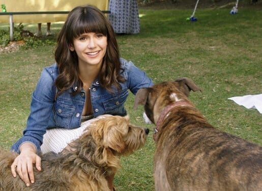 Nossa Vida com Cães