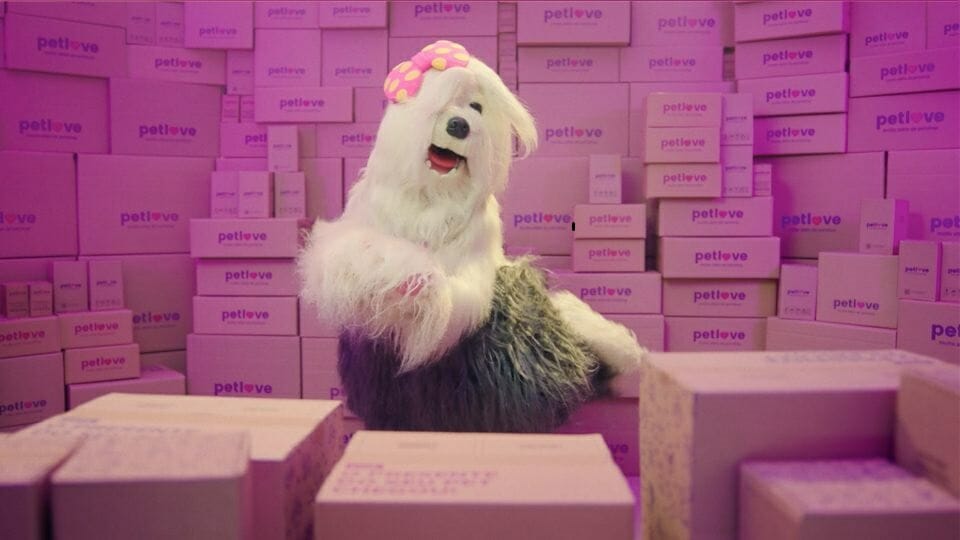 Priscila dog