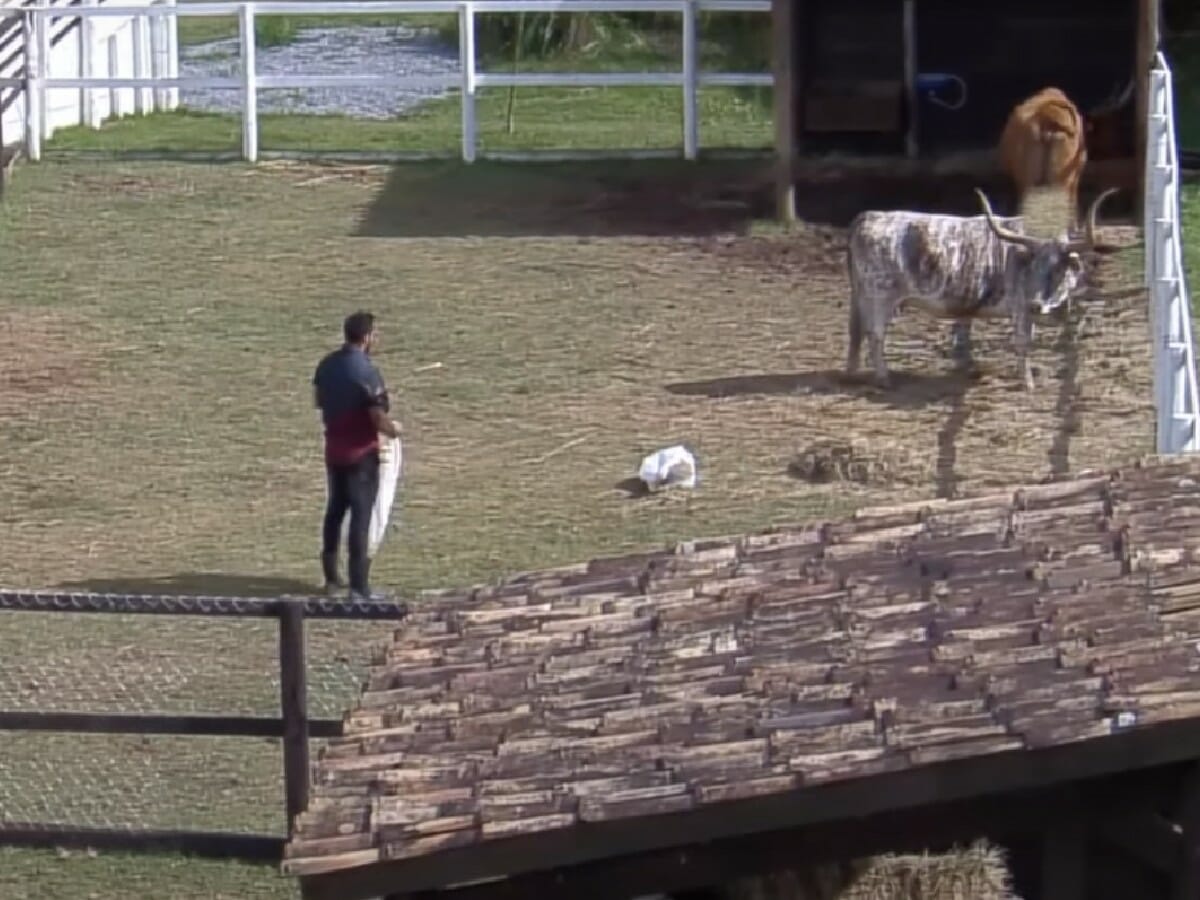 Arcrebiano Araújo em A Fazenda_1409