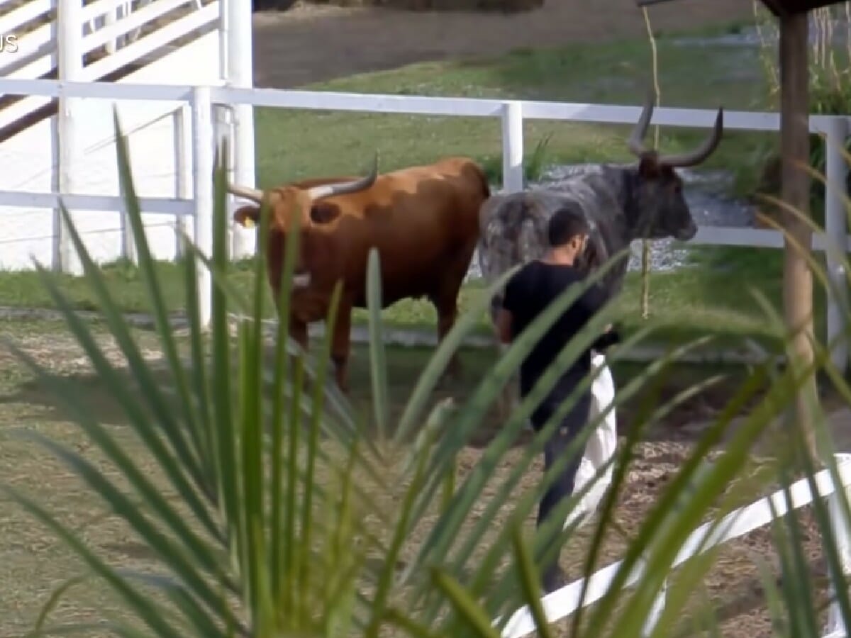 Arcrebiano Araújo em A Fazenda_1510