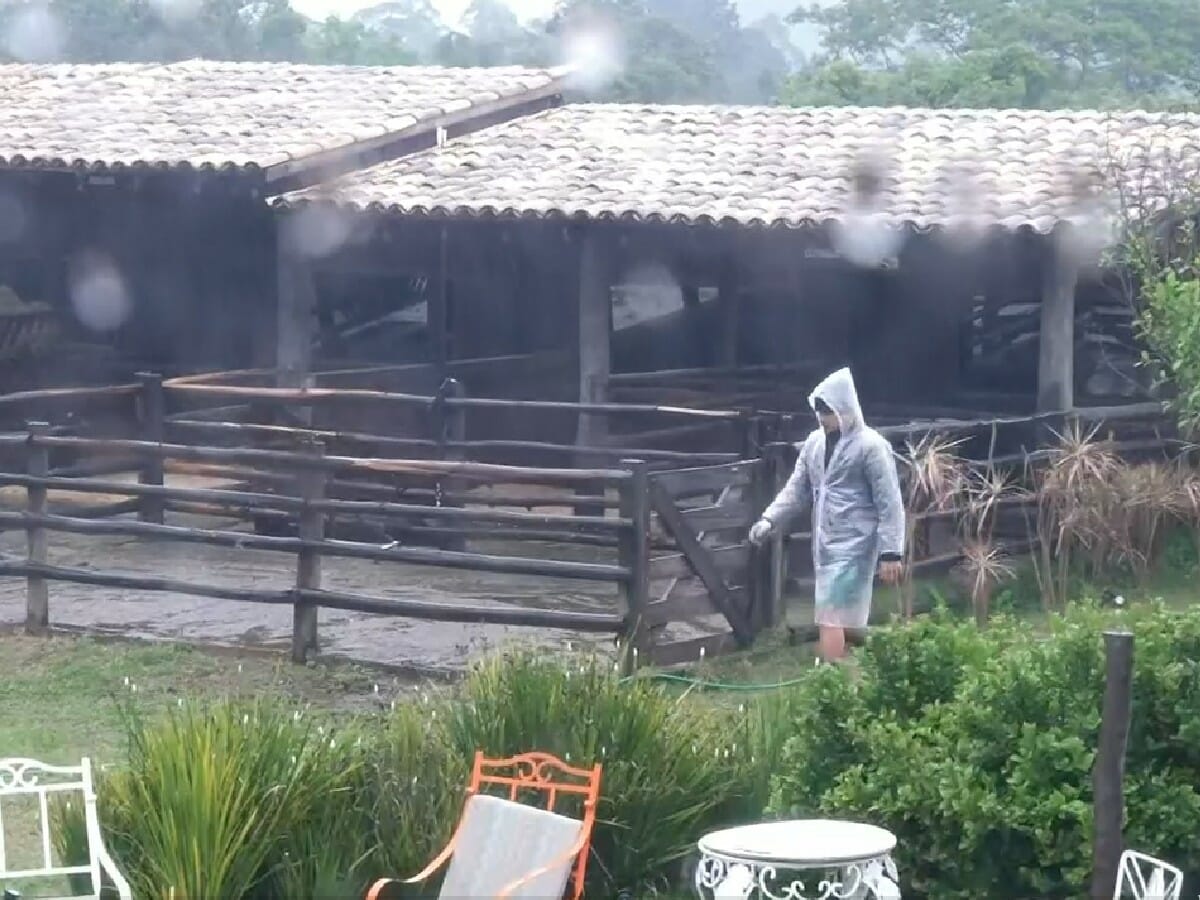 MC Gui em A Fazenda 13
