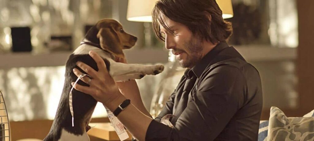 john-wick