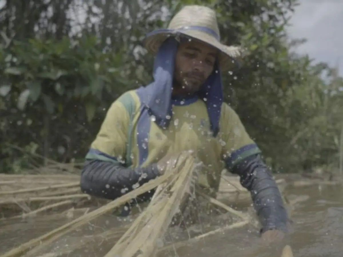 Documentário Submersos: A Exploração da Malva (Divulgação/CNN)