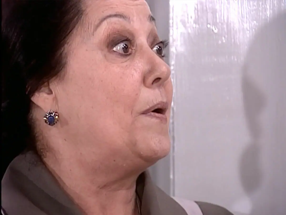 O Cravo e a Rosa