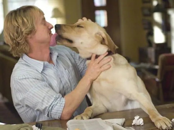 Ator Owen Wilson em cena do filme Marley & Eu (Reprodução: 20th Century Fox)