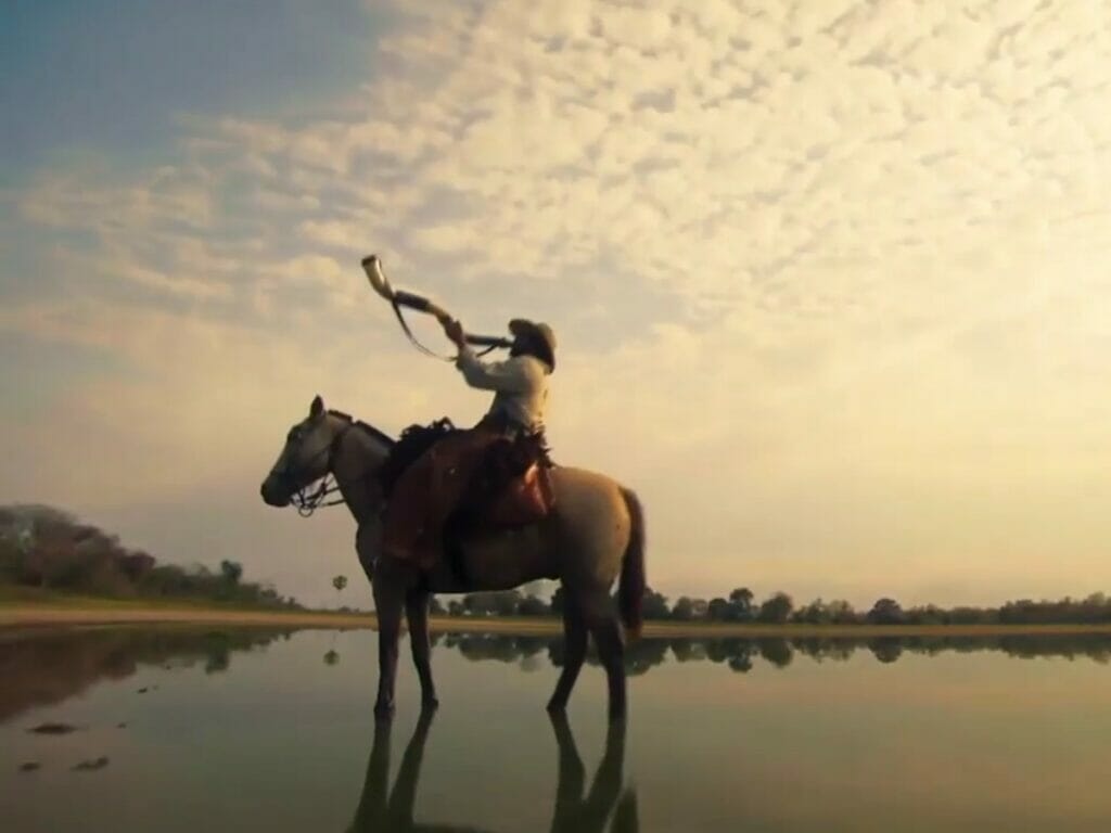 Cena da novela Pantanal