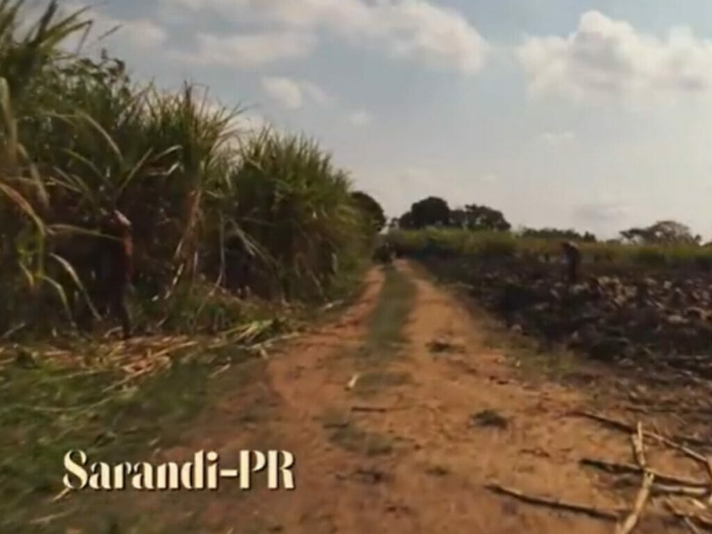 A cidade de Sarandi, no Paraná, é retratada em Pantanal