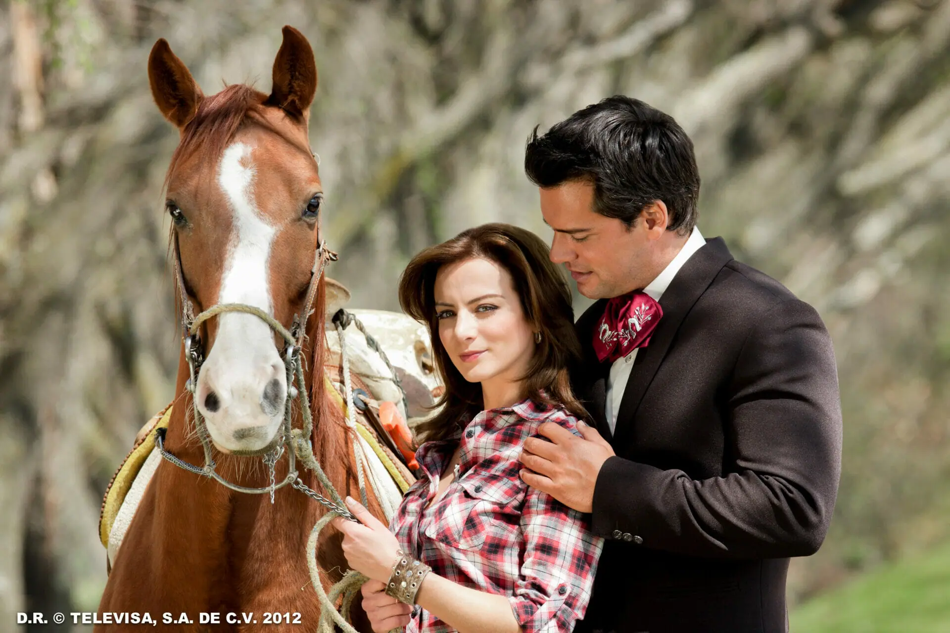 Amor Valente