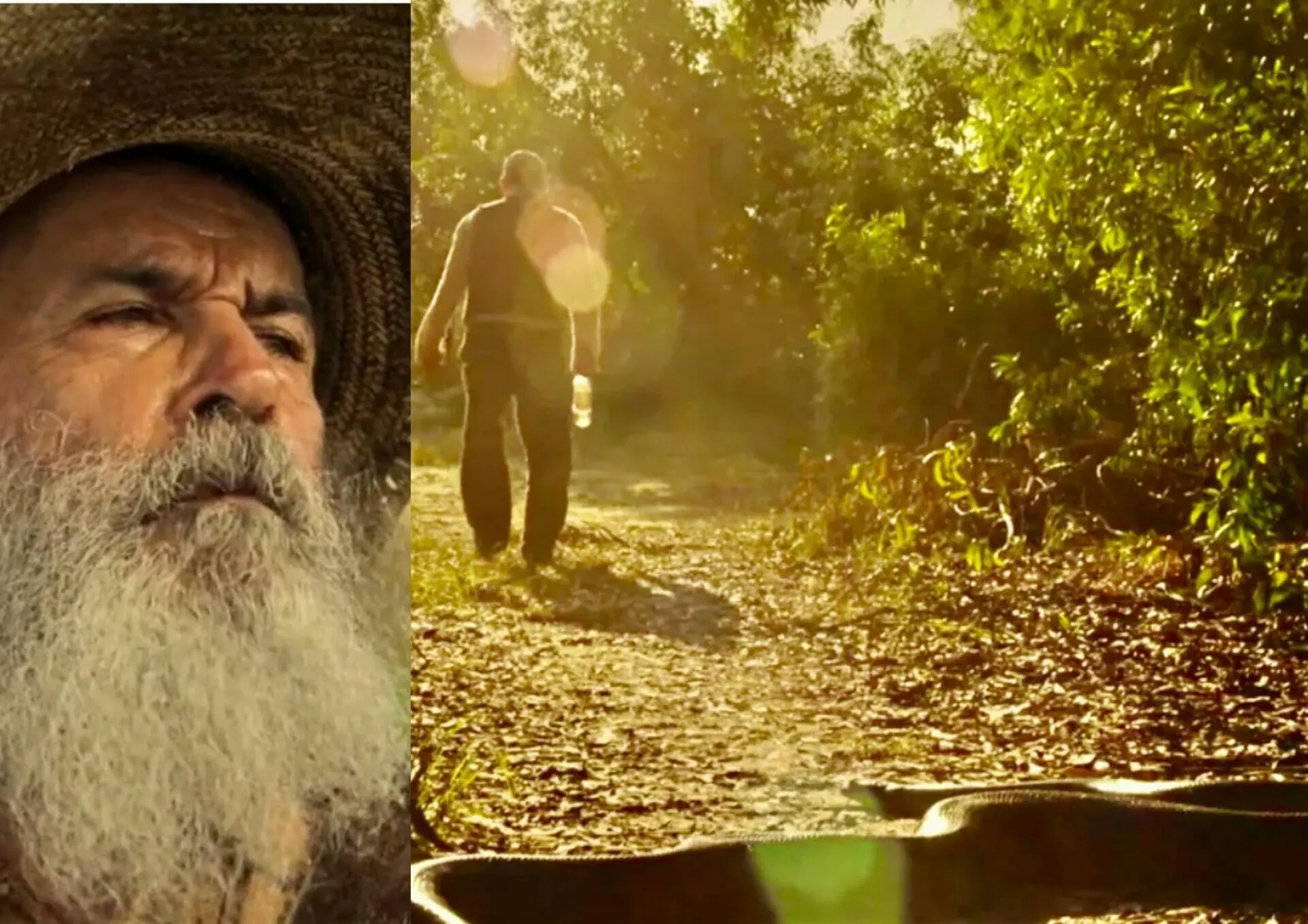 Velho do Rio (Osmar Prado) e Tenório (Murilo Benício) em Pantanal