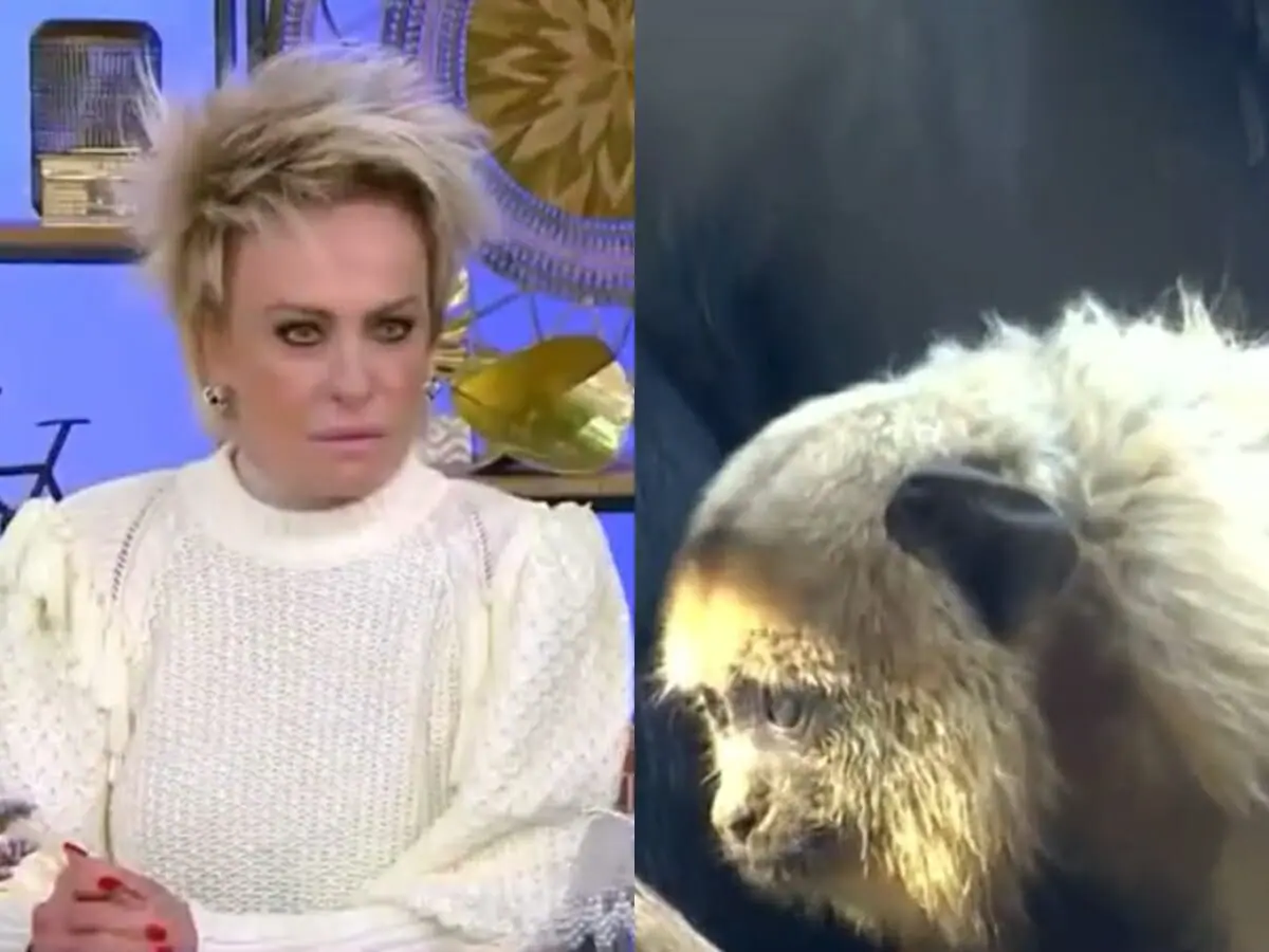 Ana Maria Braga no Mais Você