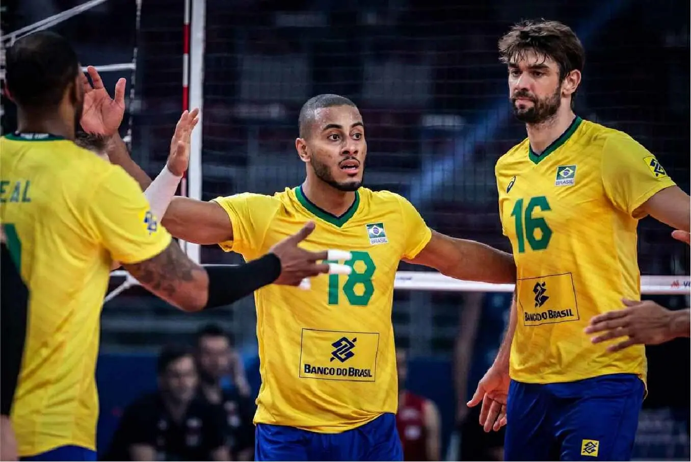 Seleção brasileira de vôlei masculino em campo