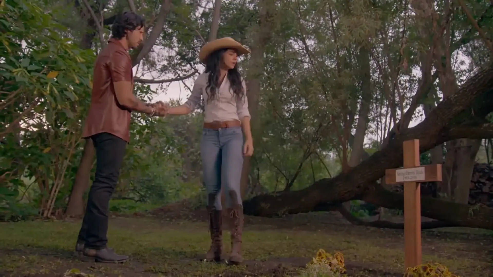 Rafael (José Ron) e Fernanda (Livia Brito) de A Desalmada