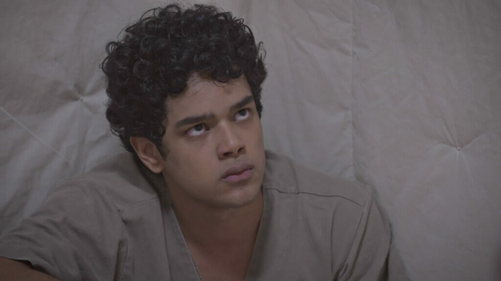 Luiz Fortes em Todas as Flores