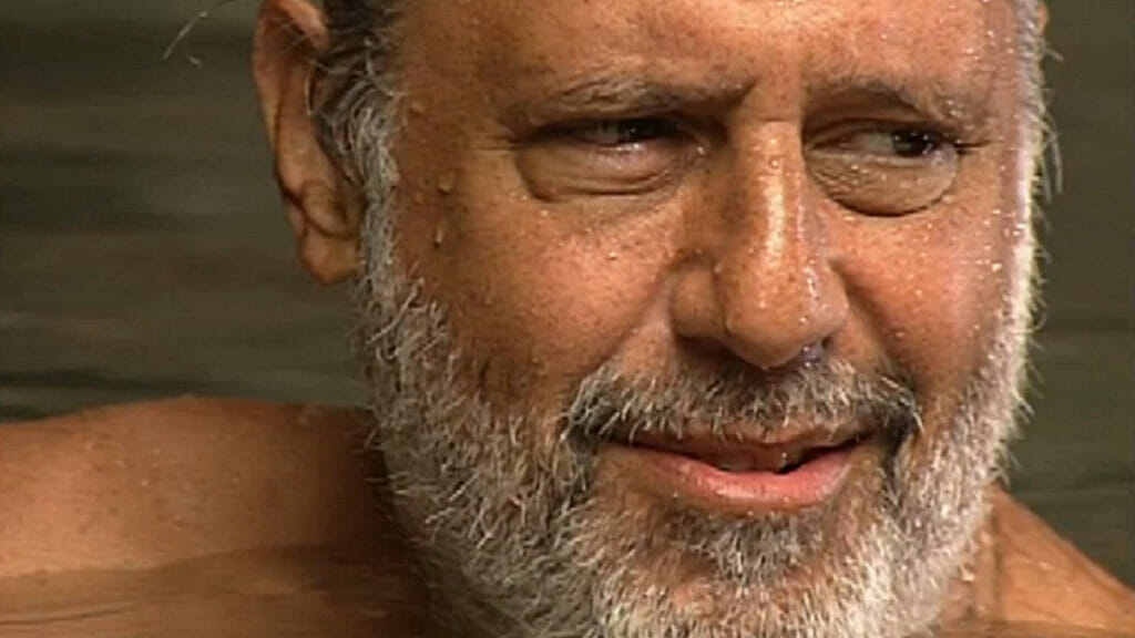 Bruno (Antonio Fagundes) em O Rei do Gado