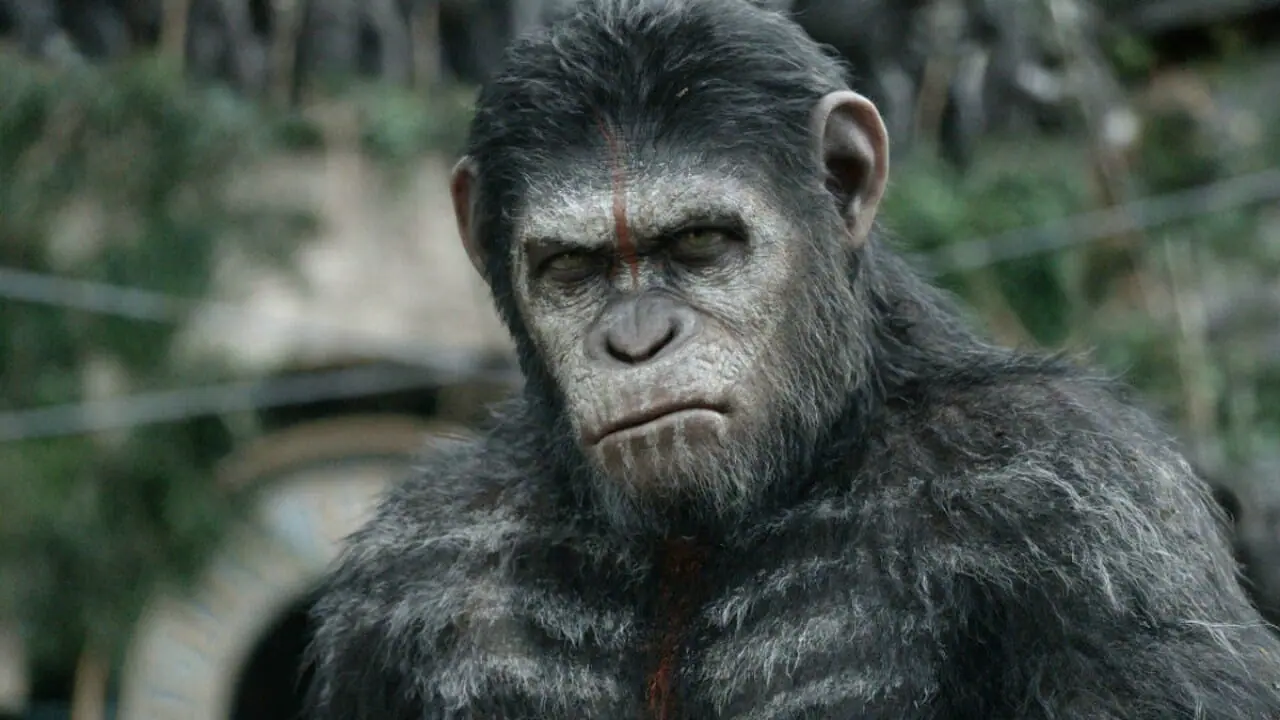 Planeta dos Macacos