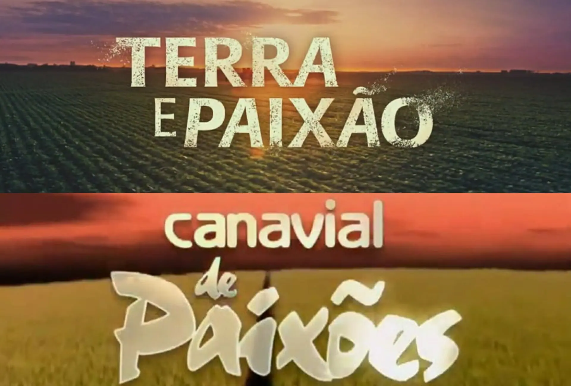 Terra e Paixão é comparada à Canavial de Paixões do SBT (Reprodução: Globo/SBT)