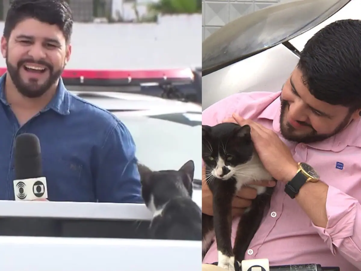 O repórter Artur Lira e o gato Frajola