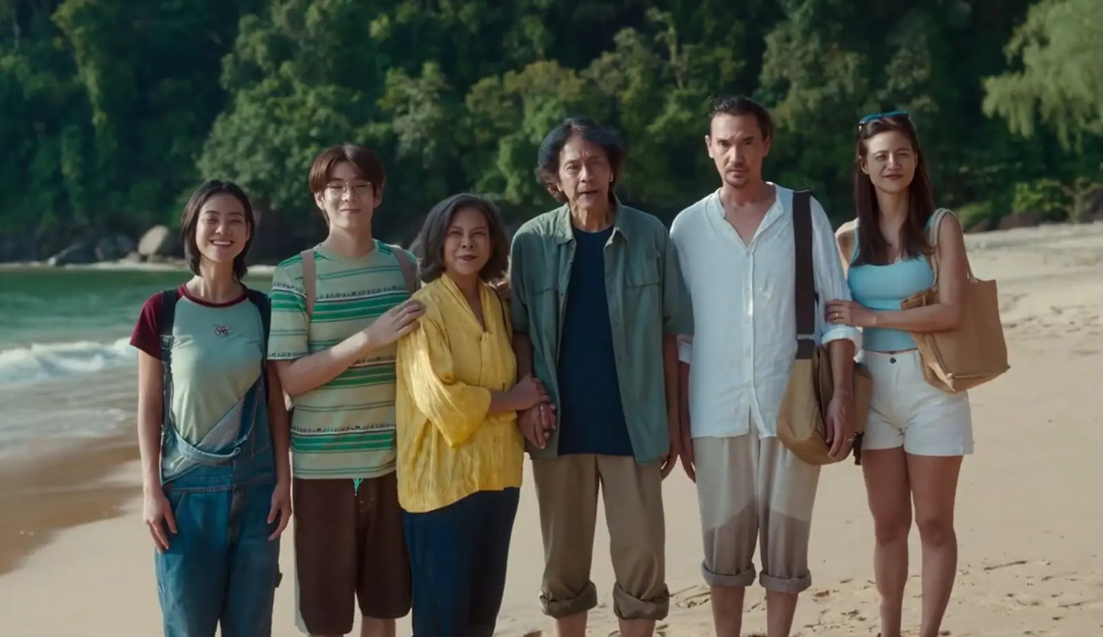 Elenco principal de Família Analógica