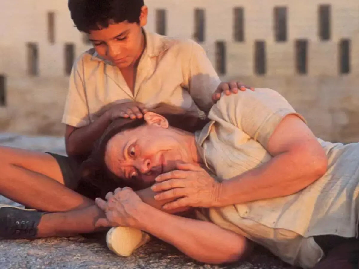 Além de “Ainda Estou Aqui” outros filmes de Walter Salles nos streamings