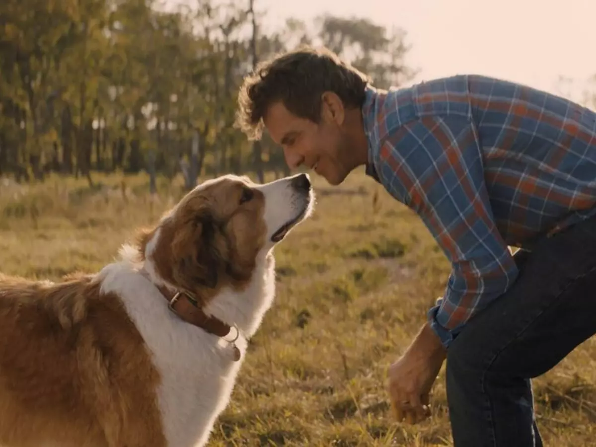 Você vai chorar muito com esse filme disponível no Globoplay