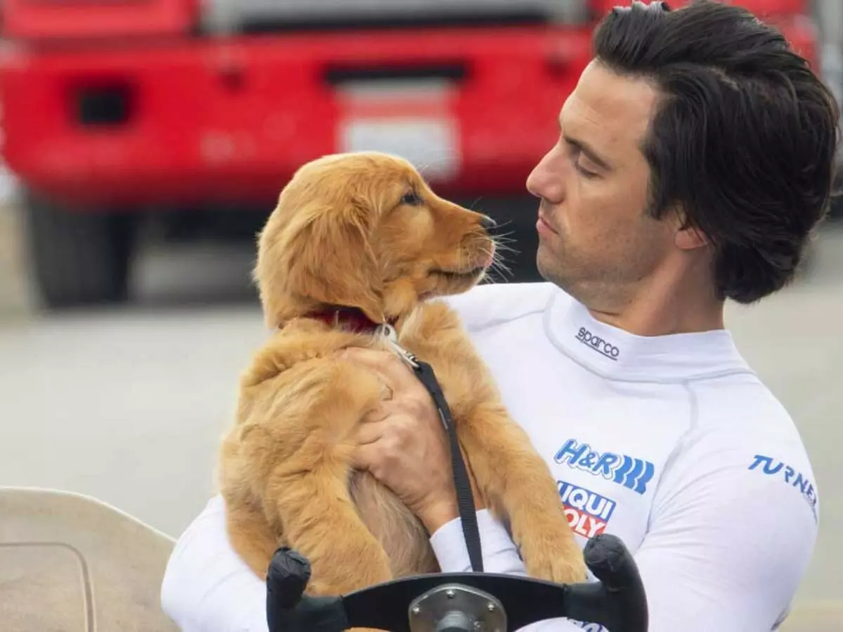 Meu Amigo Enzo: Uma jornada de vida e aprendizado sob a perspectiva de um cão