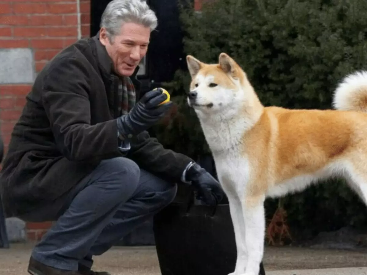 A comovente história real de lealdade entre homem e cão