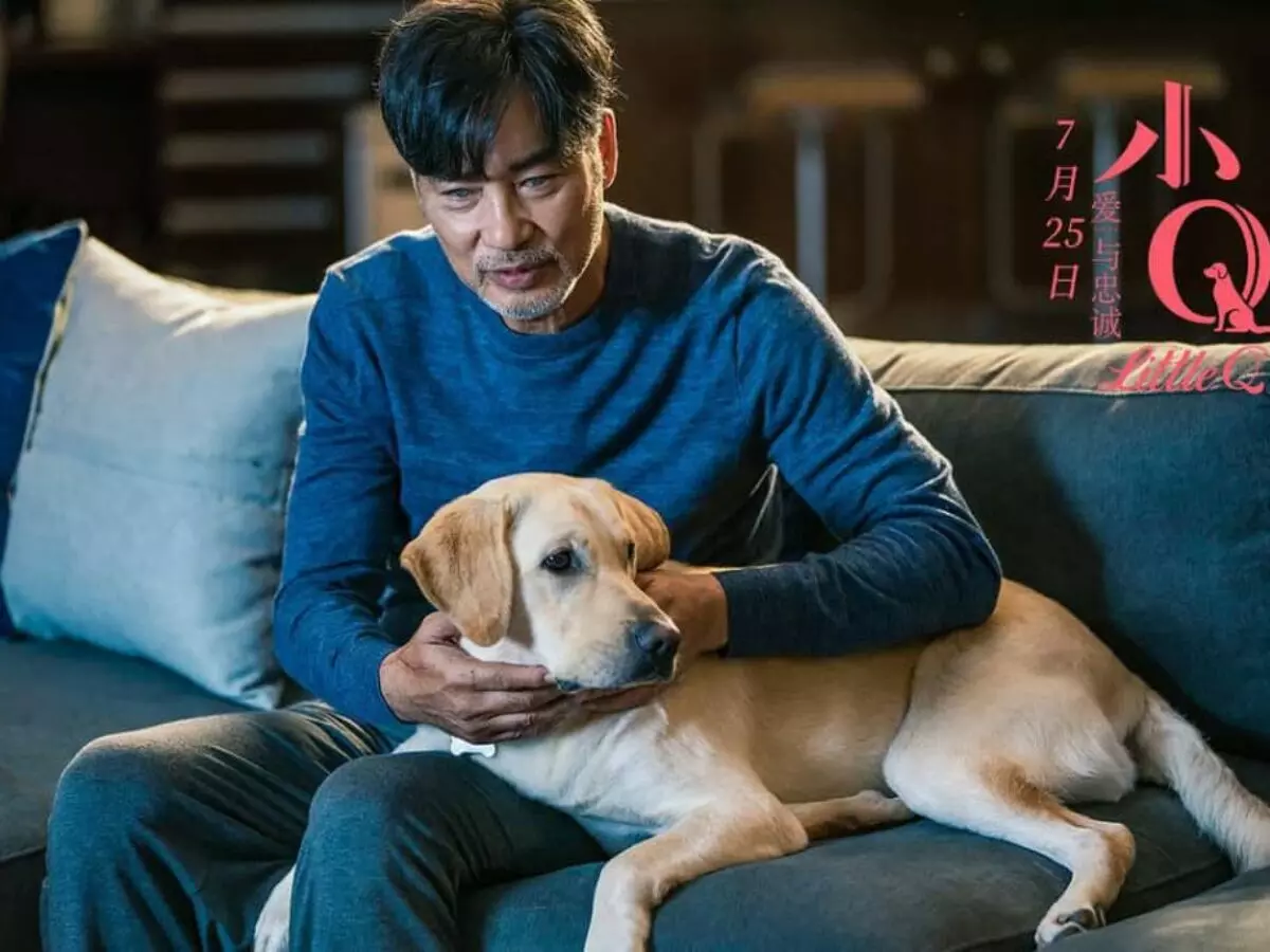Uma emocionante história de amizade e superação com um cão-guia no Prime Video