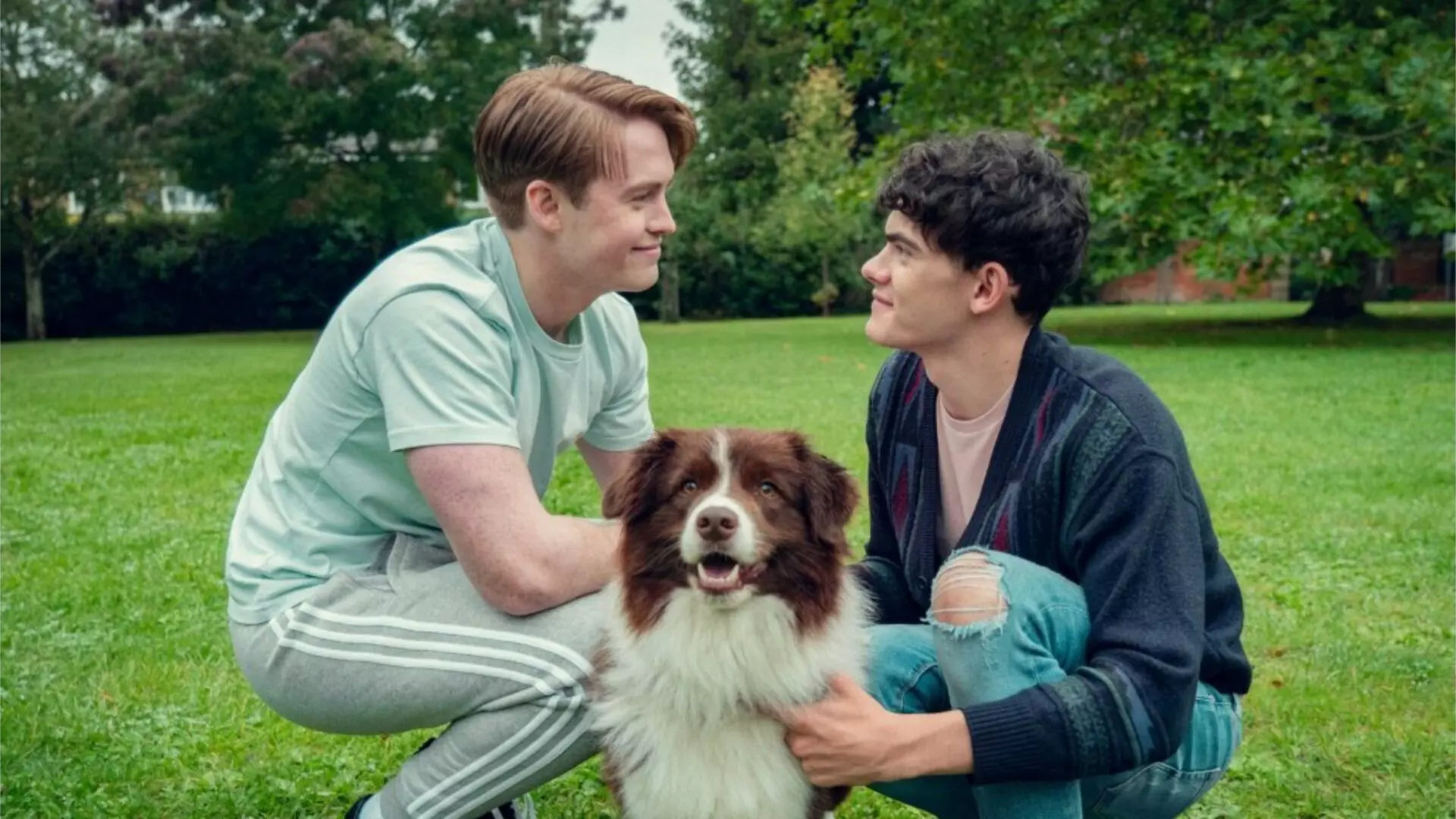 Quando estreia o filme de Heartstopper? Autora revela data na Netflix