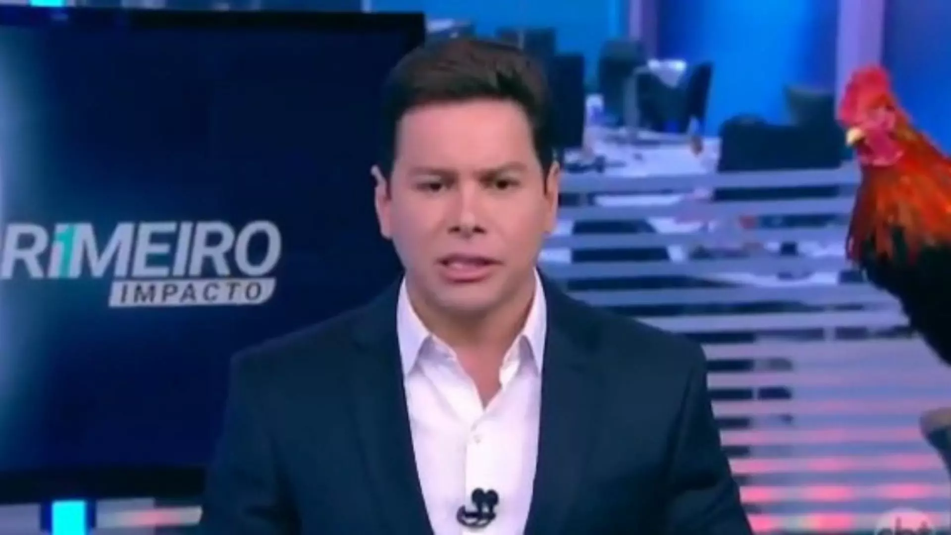 Âncora do Primeiro Impacto, Marcão do Povo segue no SBT por mais dois anos